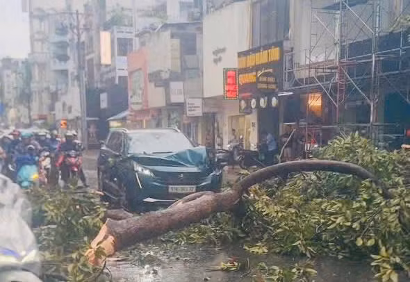 Giông gió giật cấp 9, mưa nhiều nơi khiến hàng loạt cây xanh đổ ngã -0