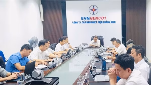 Công ty Cổ phần Nhiệt điện Quảng Ninh: Chủ động, tập trung ứng phó cơn bão số 3