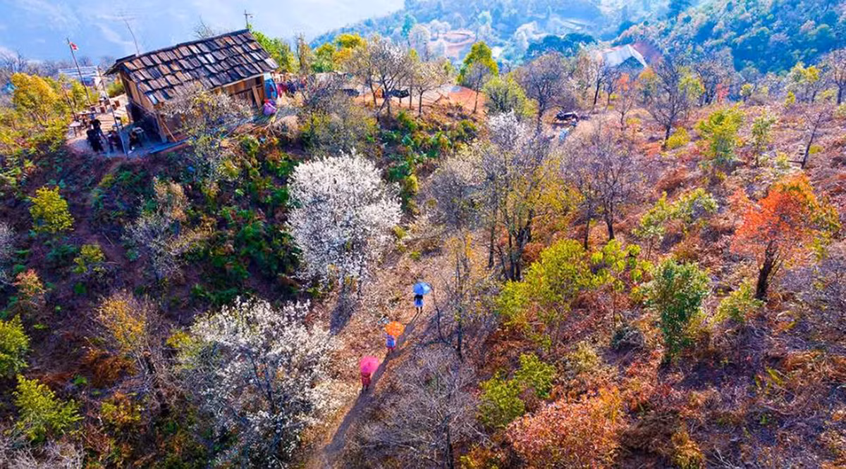 Nậm Nghiệp: Từ vùng đất bị lãng quên đến điểm sáng mới trên bản đồ du lịch Tây Bắc -2