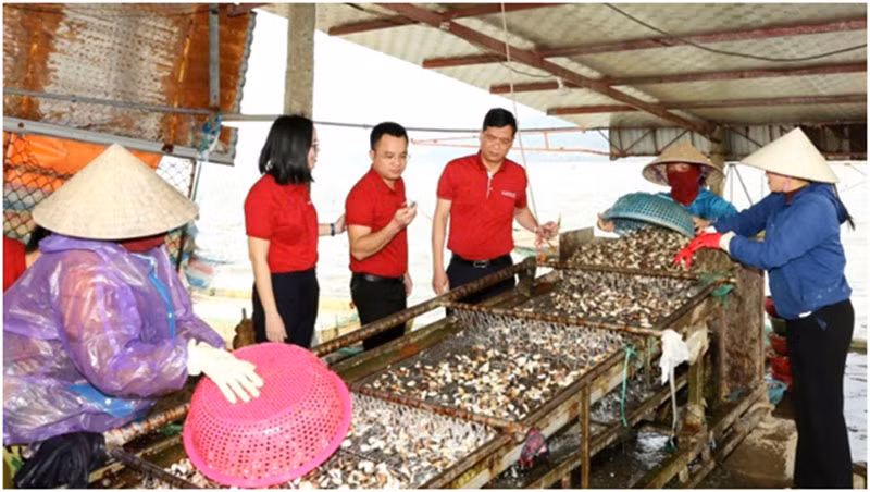Agribank góp phần đưa kinh tế tư nhân trở thành động lực quan trọng của nền kinh tế quốc gia -0