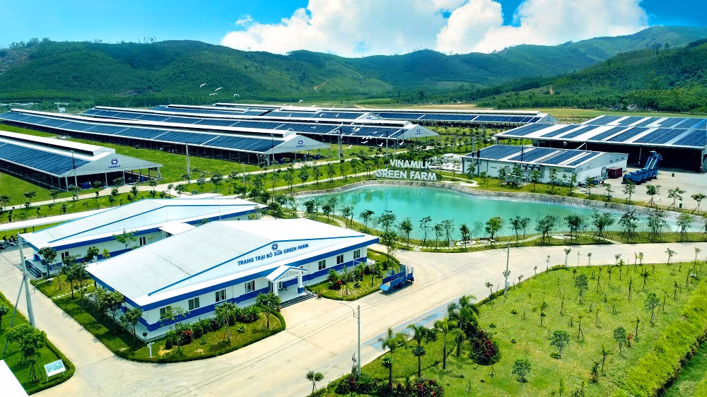 Vinamilk tiếp nhận thành công hơn 1.500 con bò sữa nhập từ Mỹ về trang trại Green farm -0