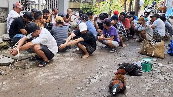 Phá trường gà, thu giữ gần 250 triệu đồng ảnh 2