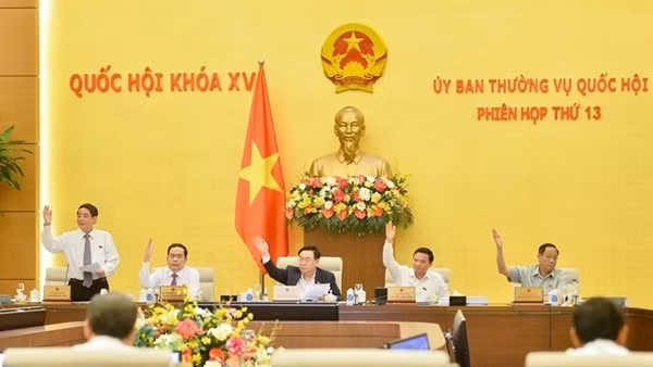Chuyển hơn 4.400 ha rừng, đất rừng, đất trồng lúa xây dựng cao tốc Bắc - Nam phía Đông