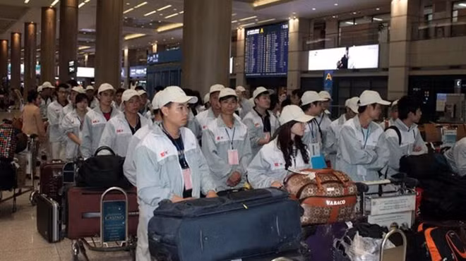 Lao động Việt Nam đi làm việc tại Hàn Quốc.