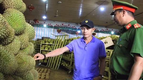 Lễ hội sầu riêng - cơ hội quảng bá nông sản và văn hoá du lịch