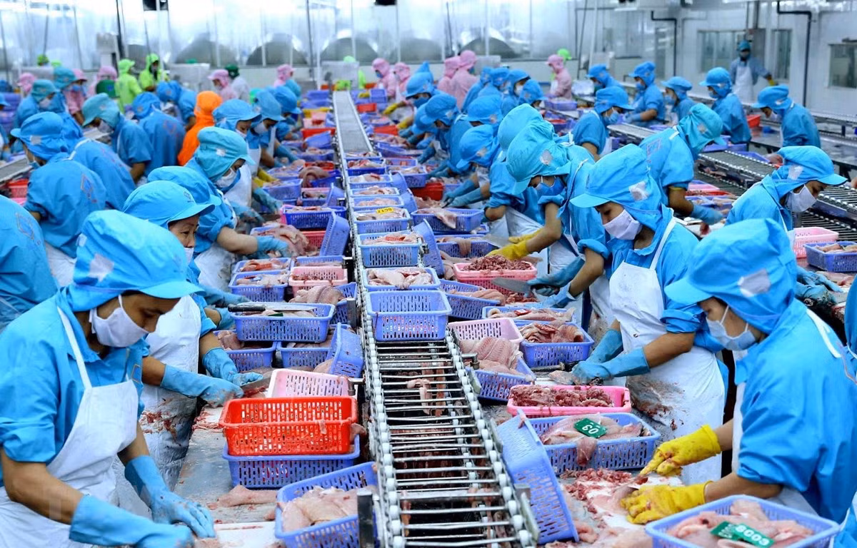 Ngành thủy sản được khơi thông -0