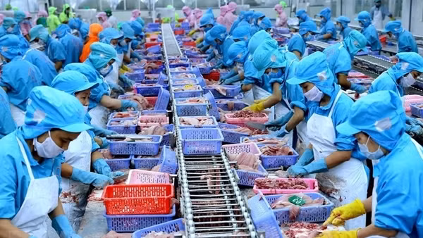 Ngành thủy sản được khơi thông