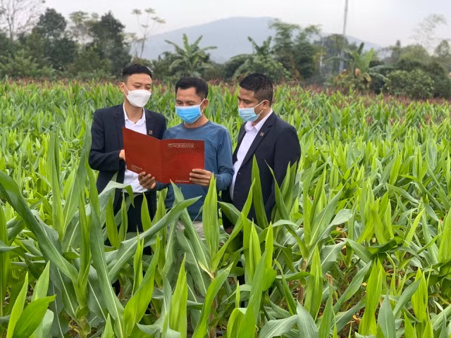 Agribank – khẳng định vai trò chủ lực đầu tư “Tam nông” -0