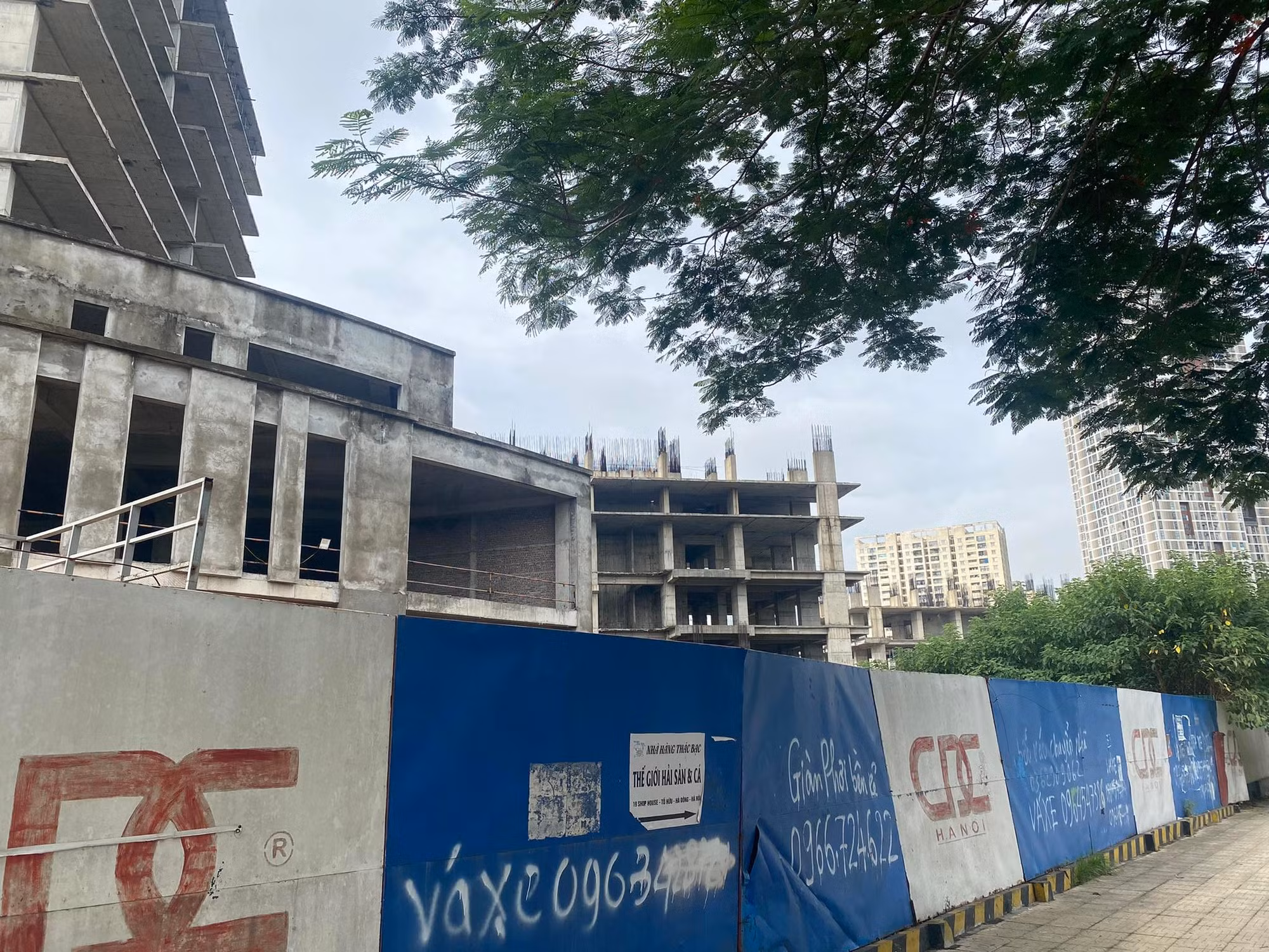 Đất không chỉ là nơi để ở -0