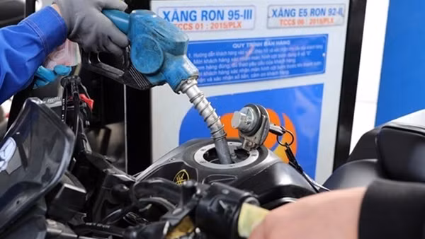 Triển khai ngay Nghị quyết của Ủy ban Thường vụ Quốc hội về mức thuế bảo vệ môi trường đối với xăng, dầu
