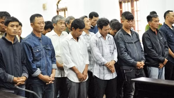 Triệt phá đường dây khai thác gỗ trái phép ở Vườn quốc gia Yok Đôn (kỳ 6)