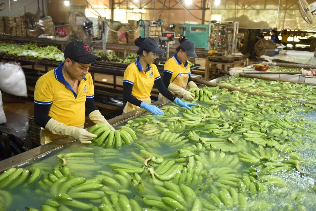 VRG: Đa dạng hóa chiến lược, đột phá hợp tác, dẫn đầu phát triển bền vững -0