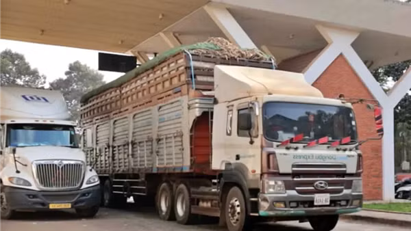 Chính thức tạm ngưng hiệu lực thi hành Nghị định 46 về an toàn thực phẩm
