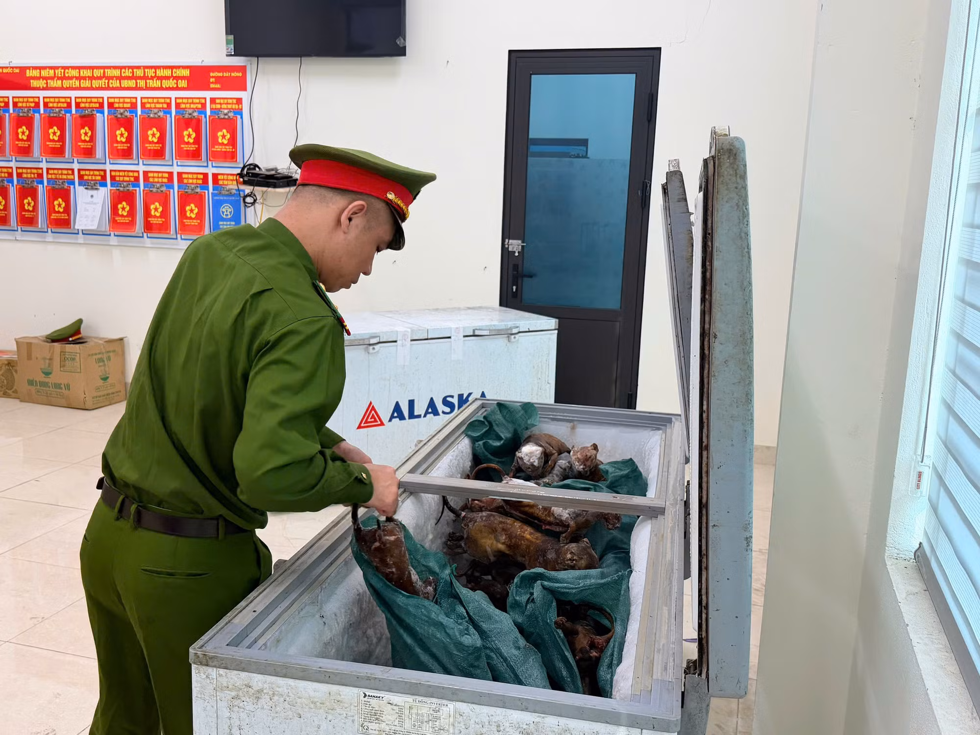 Bắt giữ nhóm đối tượng 