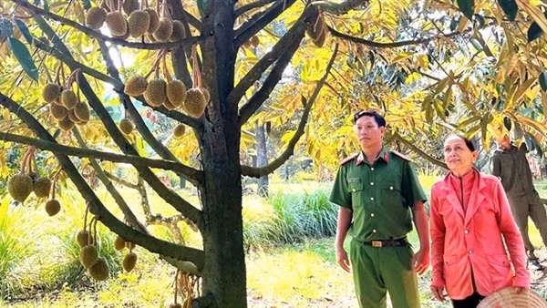 Đấu tranh, phòng ngừa tội phạm trộm cắp tài sản tại Lâm Đồng
