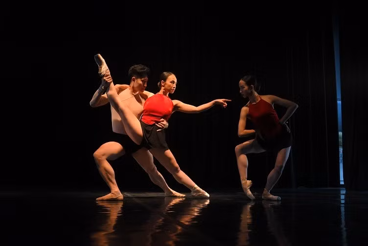 canhr trong vở ballet đông hồ.jpg -2