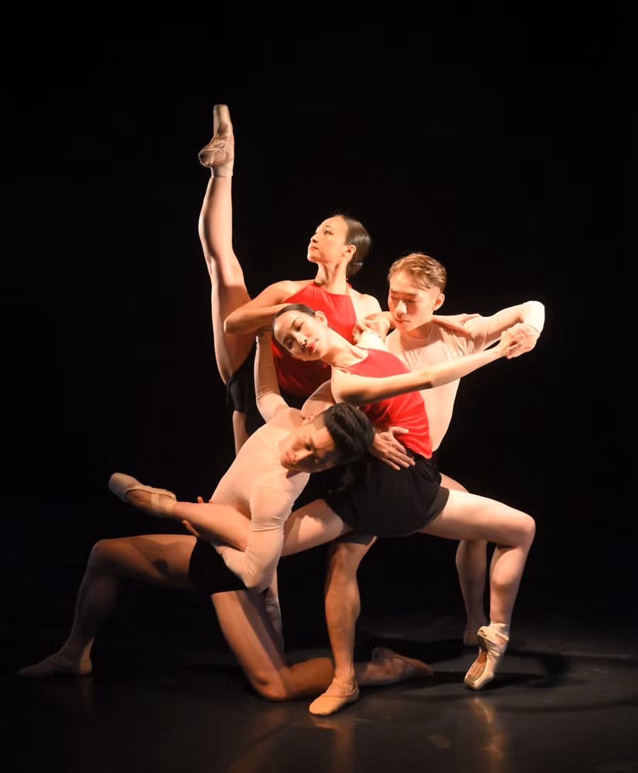 canhr trong vo ballet 3.jpg -1