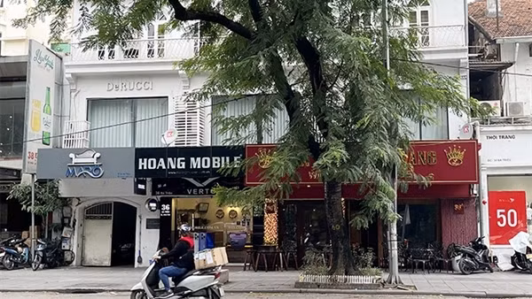Chấm dứt sử dụng tài sản công cho thuê, cho mượn trái quy định