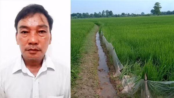 Dùng điện bẫy chuột làm hàng xóm tử vong ảnh 2
