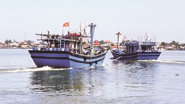 Ngư trường Đà Nẵng đưa “lộc biển” về mọi nhà những ngày giáp Tết ảnh 6