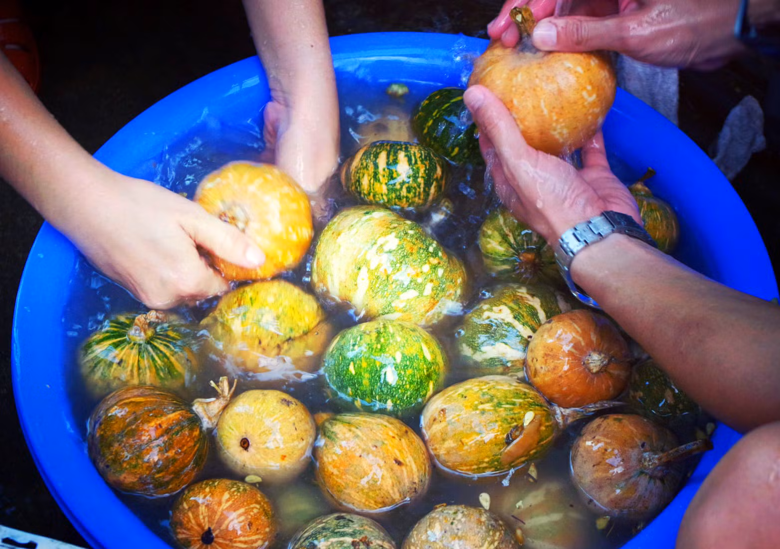 “Phiên chợ 0 đồng” chia sẻ khó khăn với người dân trên quê hương Bác Tôn -2
