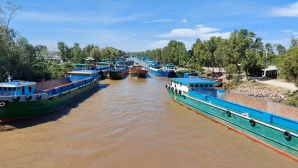Giải pháp nào phá thế độc quyền trong vận tải hàng hóa quốc tế? ảnh 2