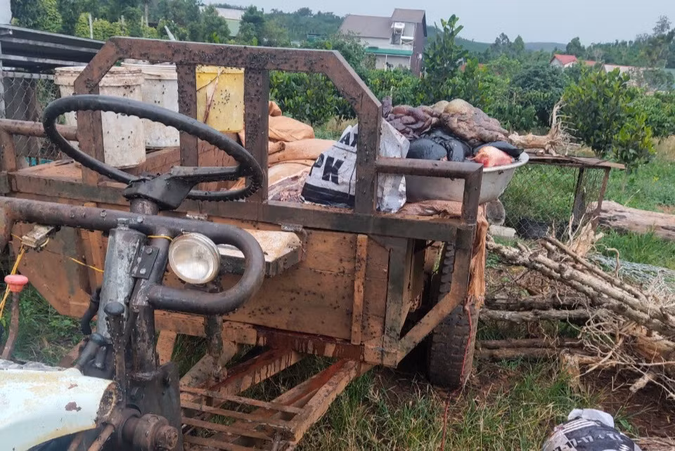 Nuôi và giết mổ heo bệnh để bán giữa mùa dịch -0