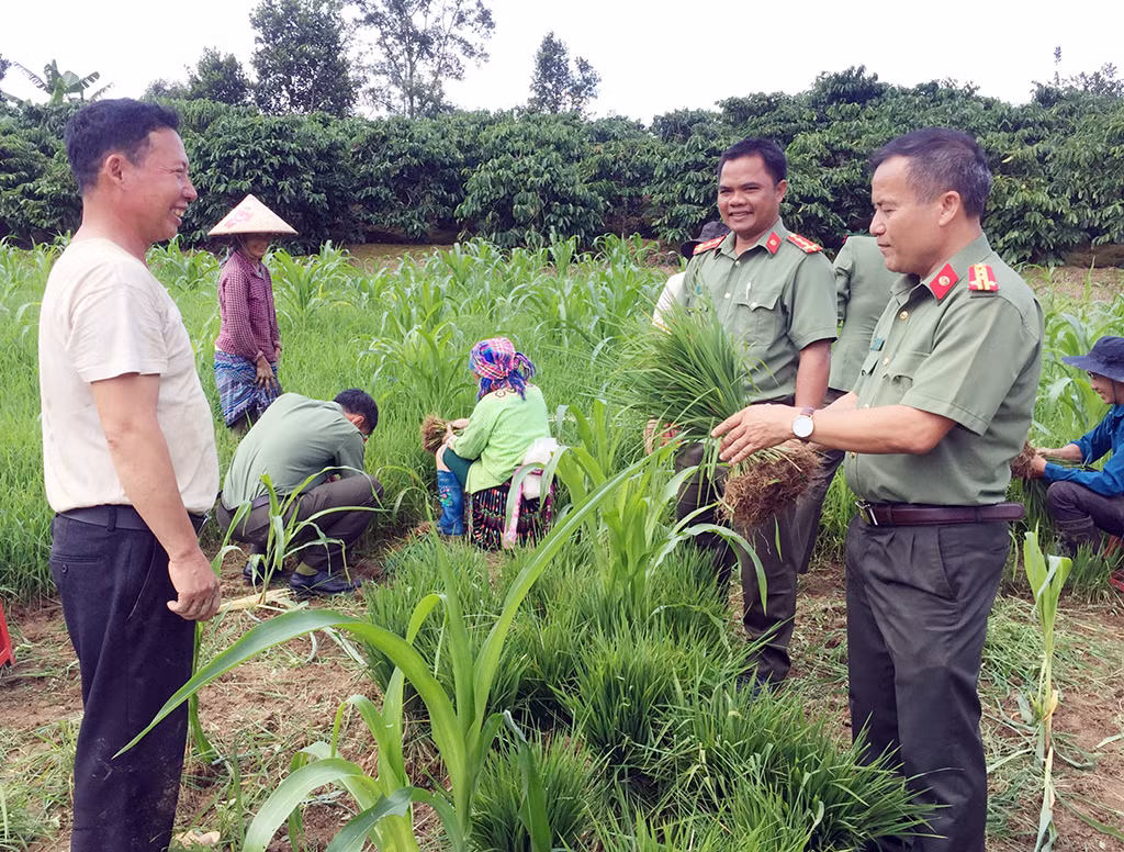 CANDDB-41-Trận tuyến an ninh thầm lặng ở Tây Nguyên -0