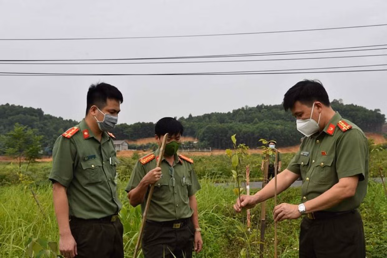 Cảm ơn những điều... bình thường -0