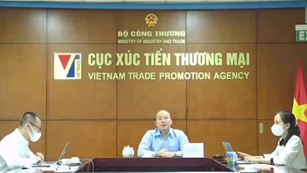 Bàn giải pháp xúc tiến xuất khẩu giai đoạn hậu COVID-19 ảnh 3