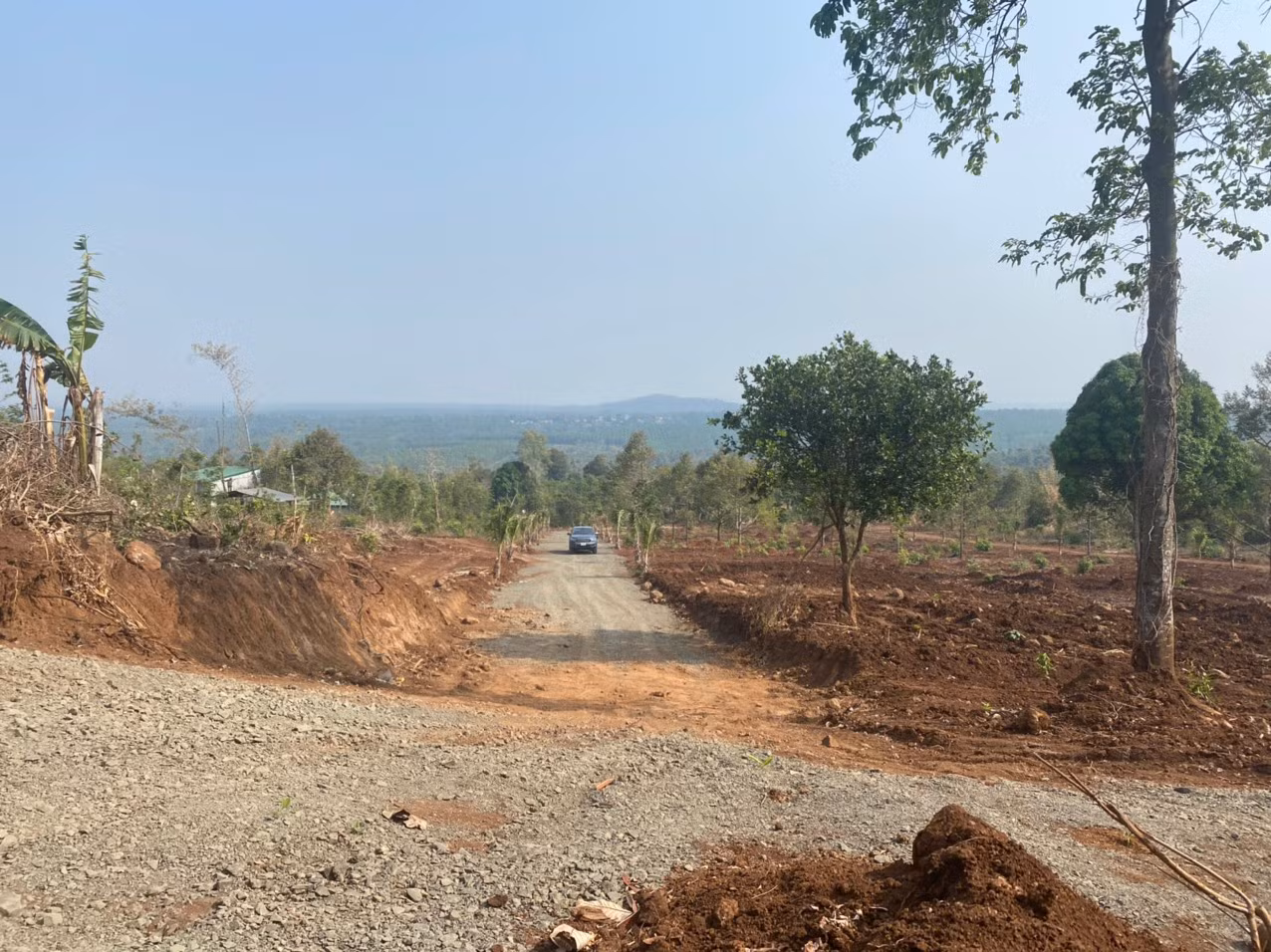 Chủ tịch và Phó chủ tịch phường bị mất chức vì để xảy ra sai phạm về đất đai -0