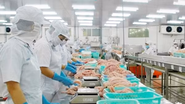 Vừa đánh bắt thủy hải sản vừa thu gom rác thải trên biển ảnh 2
