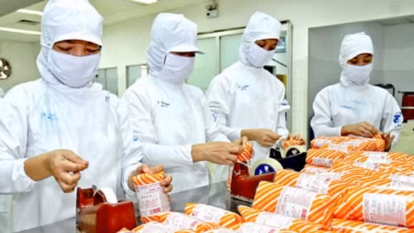 Xuất nhập khẩu khởi sắc, năm 2022 có thể vượt 700 tỷ USD ảnh 3
