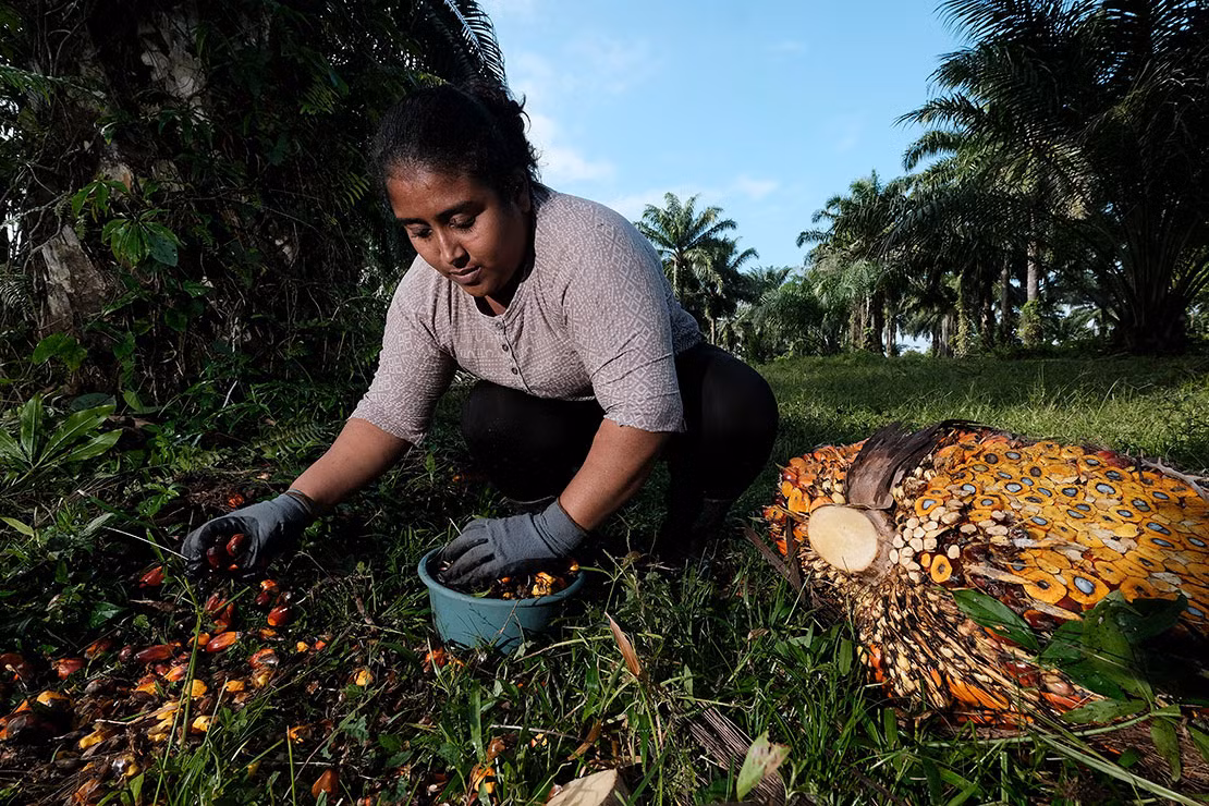 Honduras, thiên trường ca của đất và máu -0