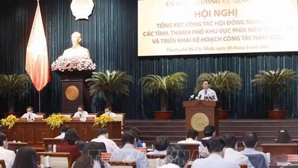 Hội nghị Thường trực Hội đồng nhân dân khu vực Đồng bằng Sông Cửu Long ảnh 3
