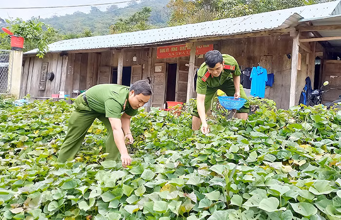 Ghi dưới chân dãy Ngọc Linh -0