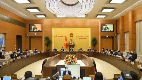 14 năm tạm hoãn thi hành án tù do 4 lần sinh con ảnh 2