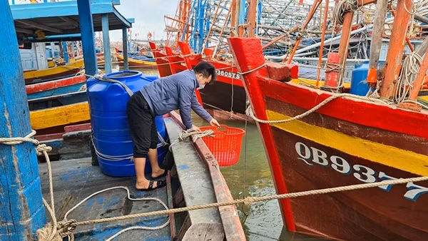 Vừa đánh bắt thủy hải sản vừa thu gom rác thải trên biển