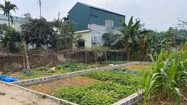 Ngậm trái đắng vì ôm đất nông nghiệp ảnh 6