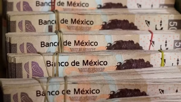 Mexico: Người dân ủng hộ Tổng thống AMLO ảnh 2