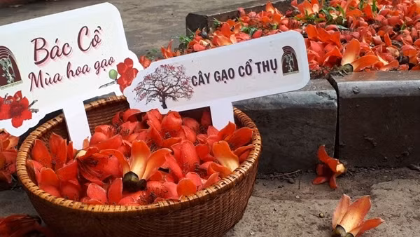 SEA Games 31: Cơ hội quảng bá hình ảnh, thu hút khách đến với Hà Nội ảnh 3