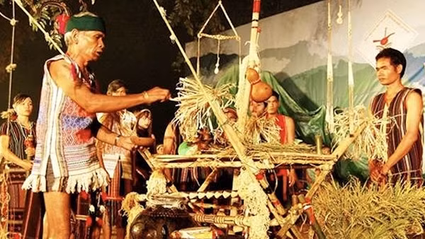 Cây lúa - Nhìn từ các mã biểu tượng!