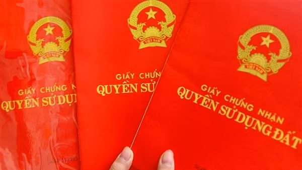Tìm cá nhân, tổ chức liên quan đến góp vốn đầu tư hợp tác Công ty TNHH Địa ốc BTFLand ảnh 2
