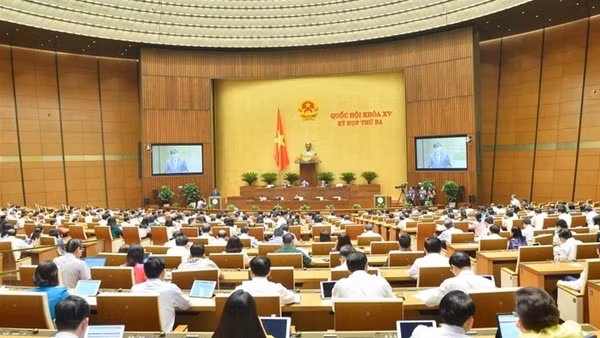 Đại biểu lo lắng điệp khúc "được mùa mất giá" ảnh 6
