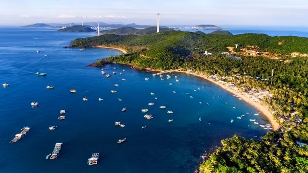 Cùng hành động vì đại dương xanh