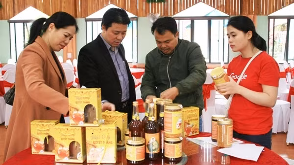 Ứng dụng thương mại điện tử để mở rộng kênh tiêu thụ nông sản ảnh 3