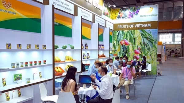 Gạo là mặt hàng xuất khẩu lớn nhất của Việt Nam sang châu Phi ảnh 2