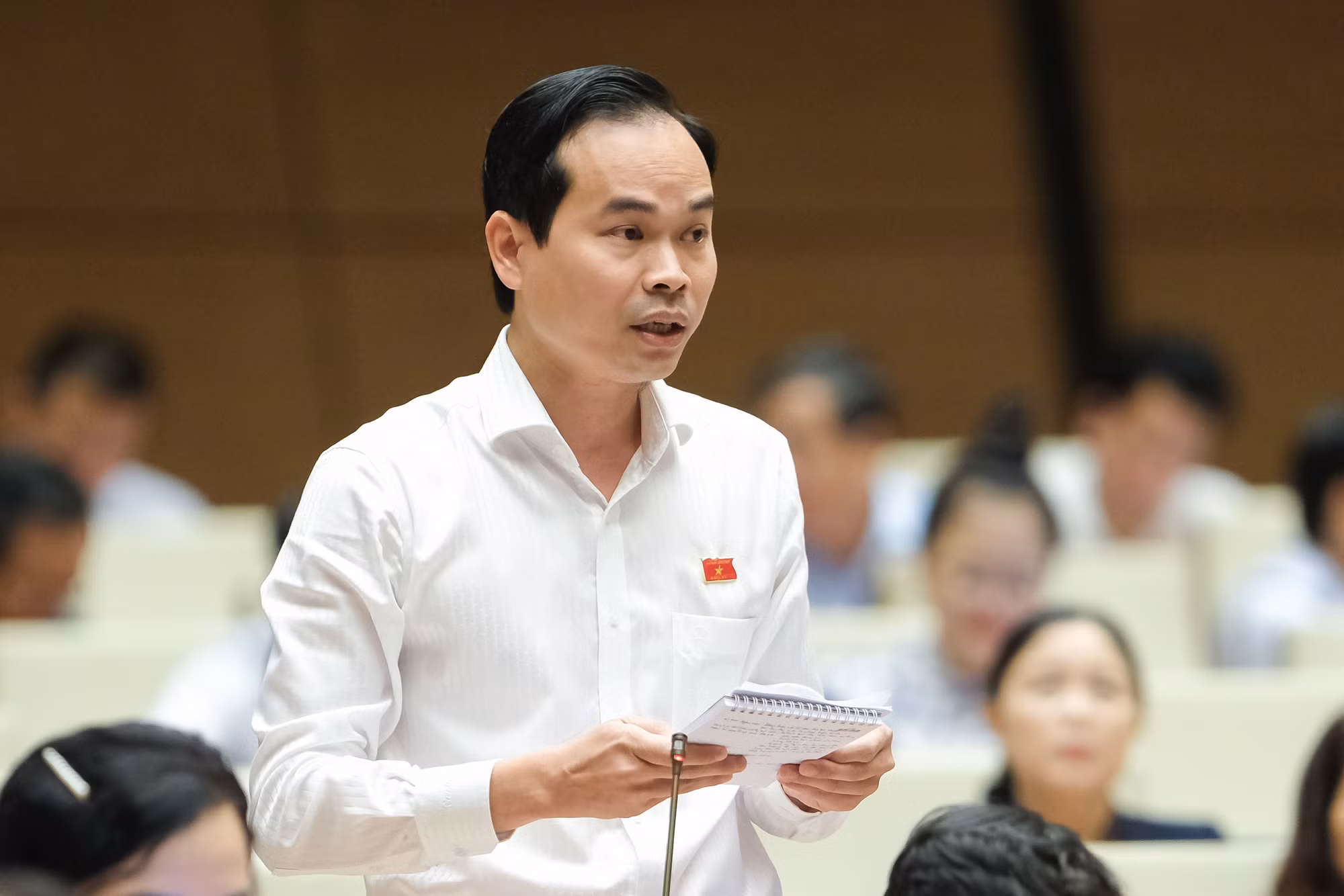 Đại biểu Quốc hội hiến kế vượt qua khó khăn, phát triển kinh tế -0