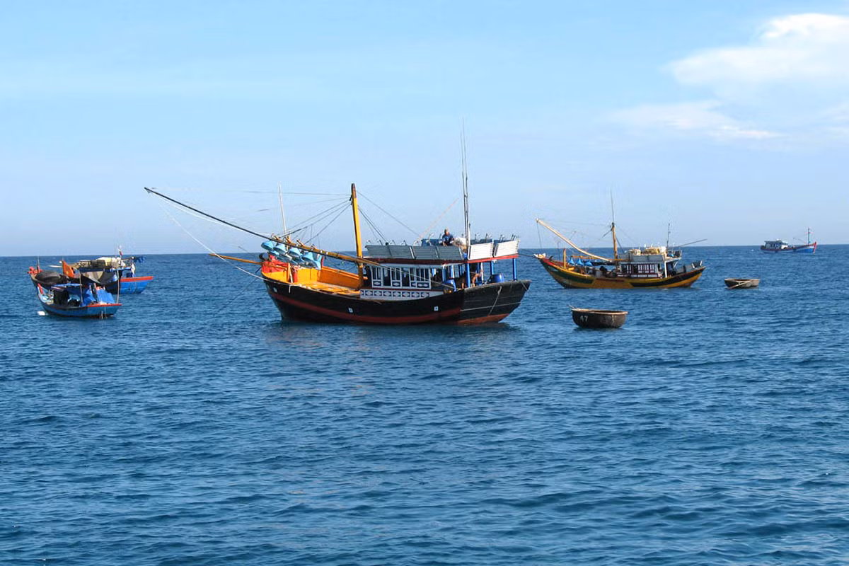 Yêu cầu 3 tỉnh Kiên Giang, Cà Mau, Bình Định xử lý ngay vi phạm nghiêm trọng trong khai thác thủy sản -0