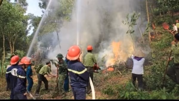 Kịp thời ngăn chặn một vụ cháy rừng